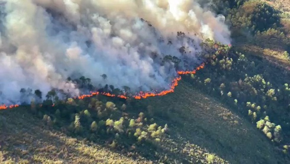 Carnes asadas son prohibidas por Samuel García en Nuevo León