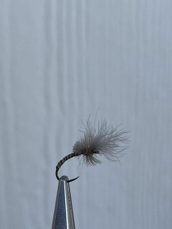 74EEB2FC-69F7-45E2-B2D4-05F9E5D38C1F