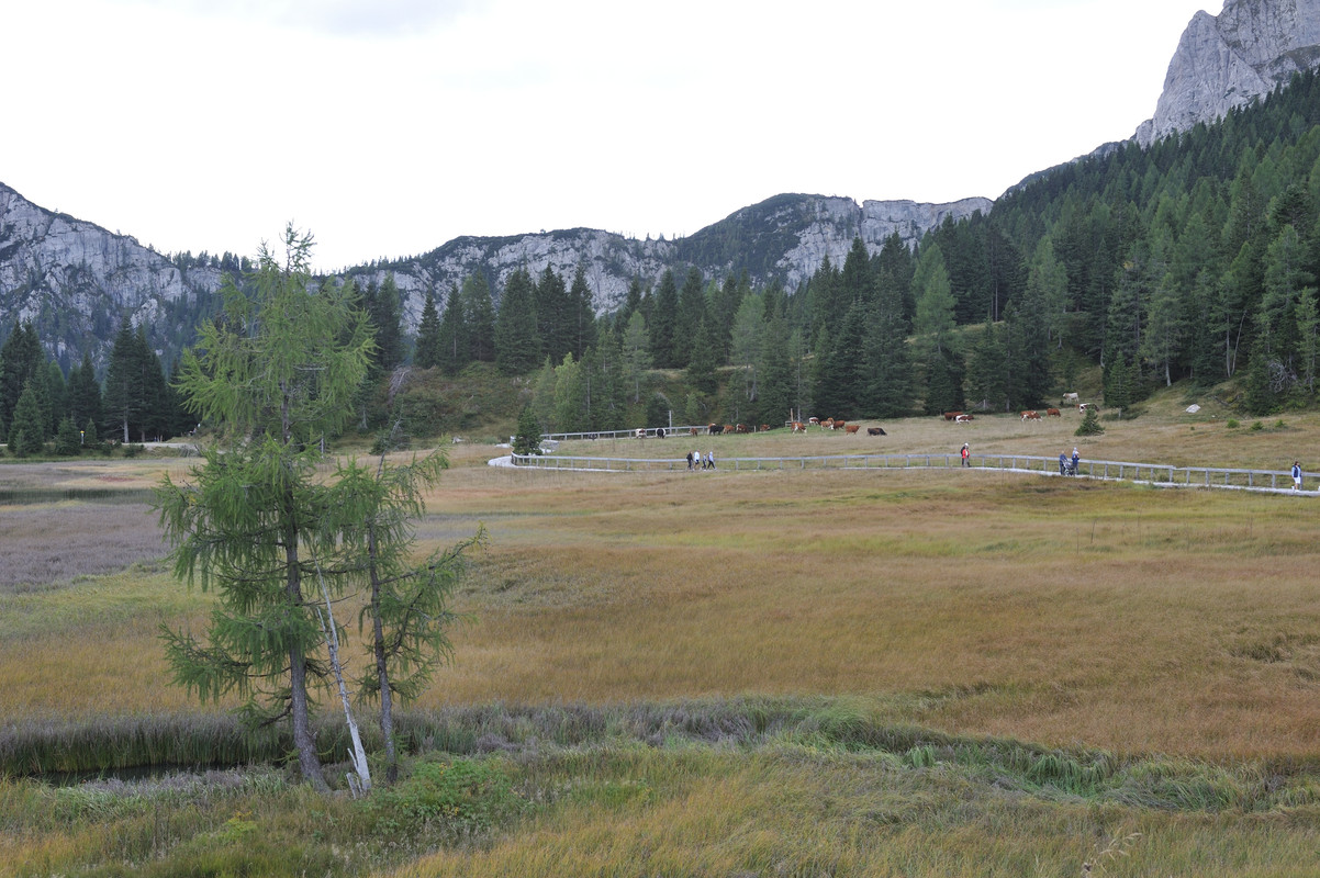 DSC 5867 — Postimages