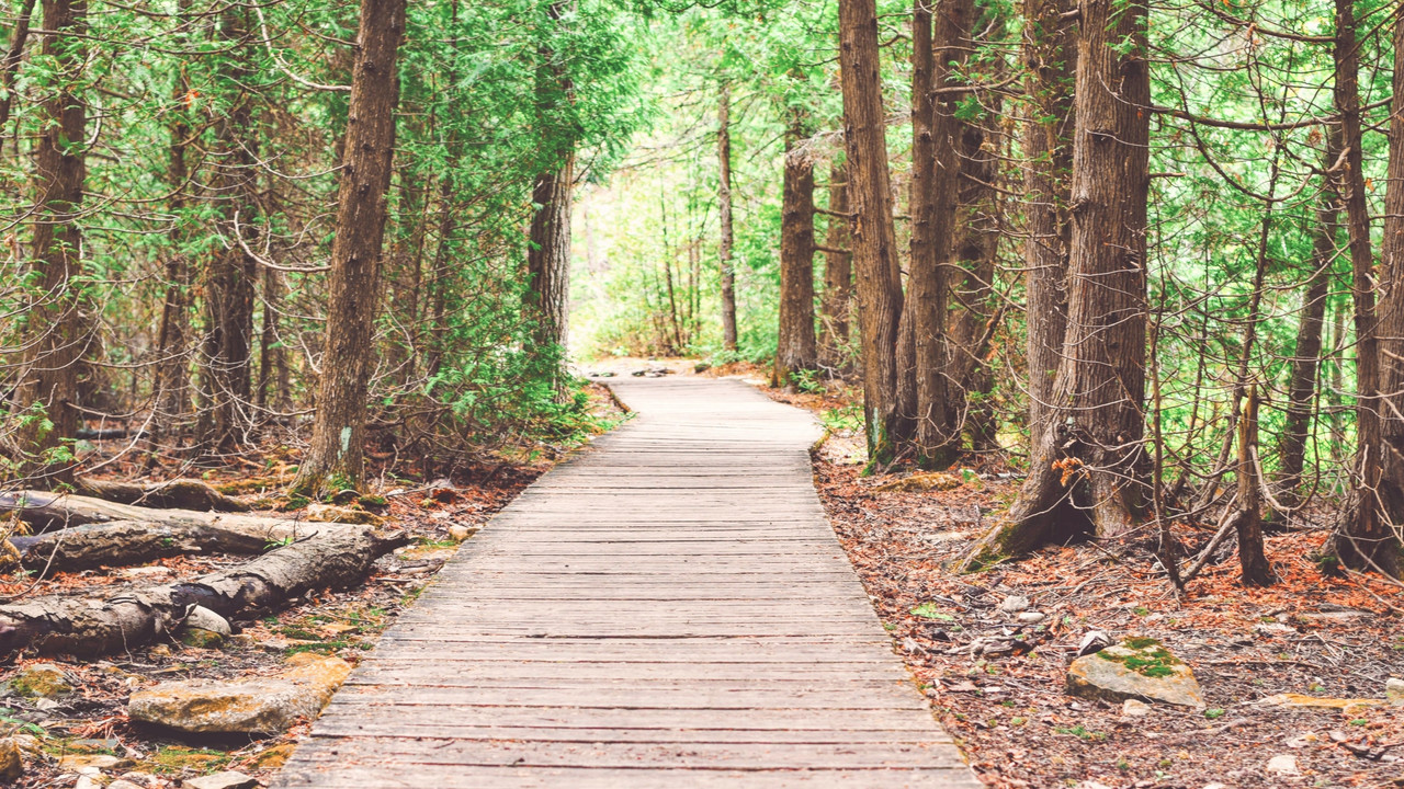 מלון בית מימון