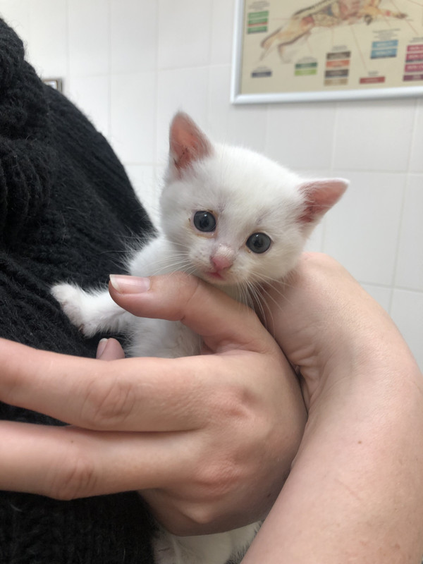 F5177F9B-67C2-4B97-9342-6A4314CABF14