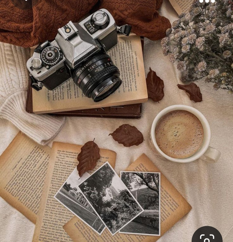 Screenshot_20231015_215158_Pinterest