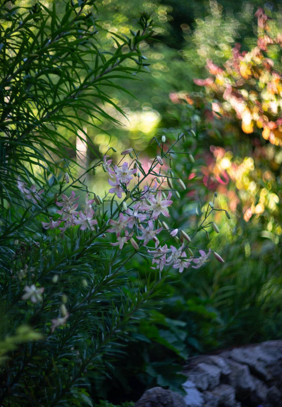 IMG-929640d46824245f661f2a5a720dd1e9-V