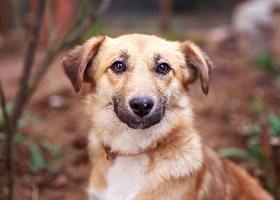 изображение_viber_2024-05-12_20-39-10-430