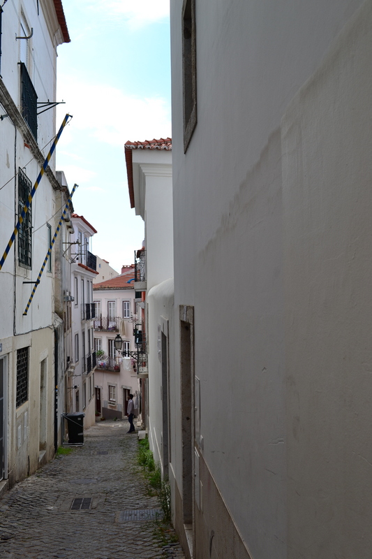 Slika