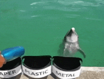 daily-gifdump-3379-06.gif