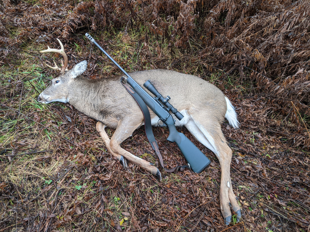 11-18-23  8 pointer