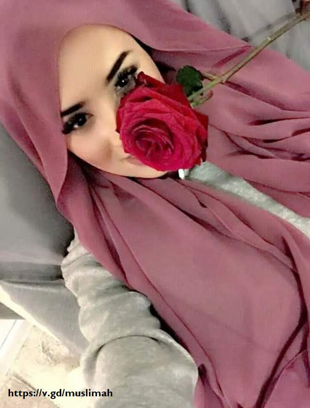 https://i.postimg.cc/Sx0CCCky/muslimah-setangkai-bunga-mawar-merah.jpg