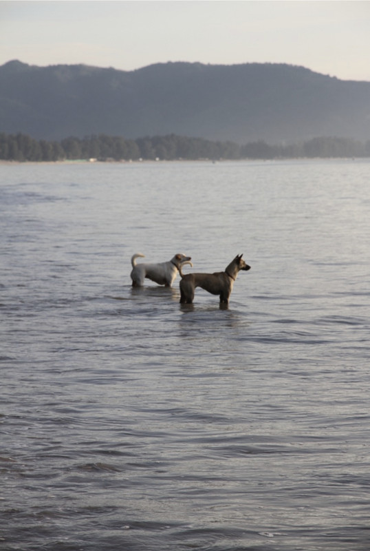 EE718026-3D01-4D9F-9D05-D578663AB5FC