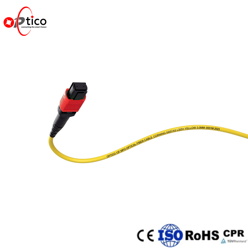 12F AR Coated MPO MTP Trunk Cable