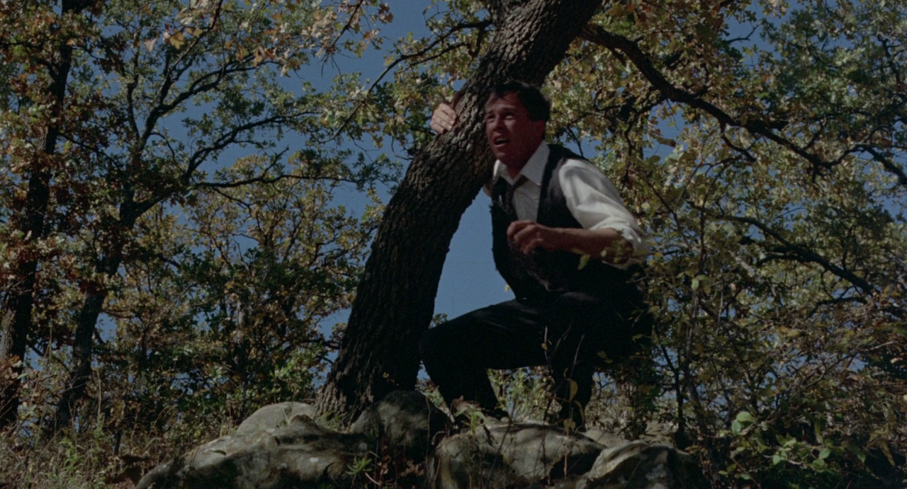 vlcsnap-2023-07-22-14h36m57s890