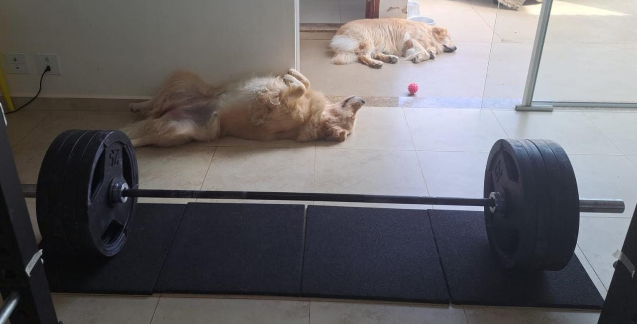 Whats-App-Image-2026-01-20-at-10-02-05.j