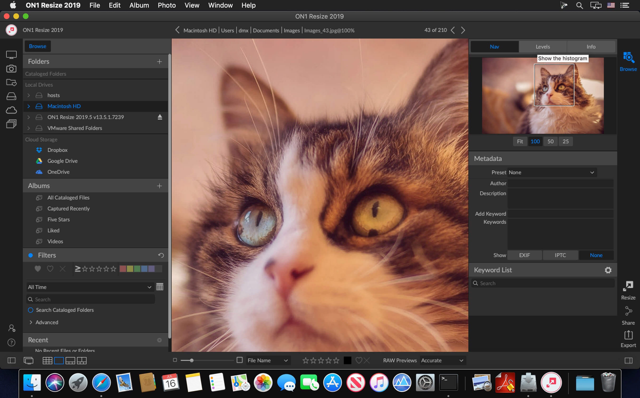 download on1 resize 2023.5 download on1 resize 2023.5