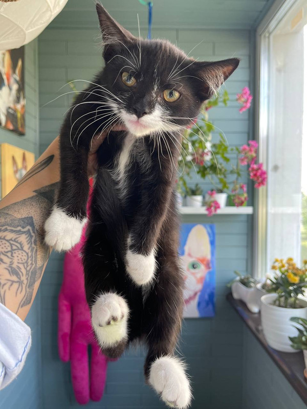 30D60BFB-7BA7-430E-9BCF-E9F73F514380