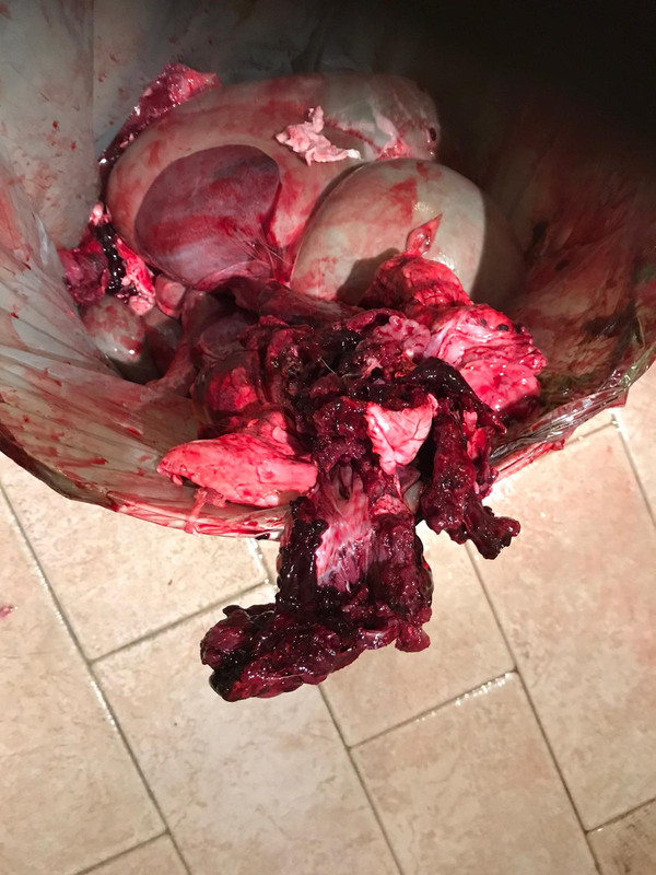 57EA6C8D-3885-4151-9ACA-CC19D377AD3E