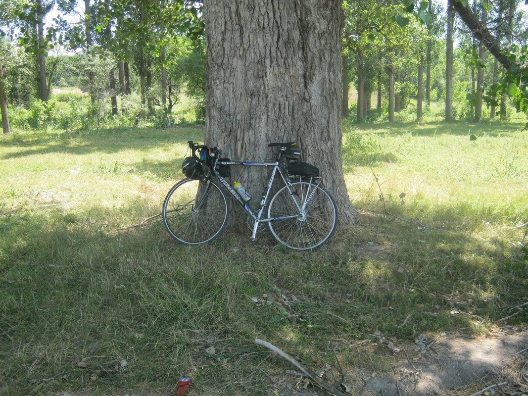 IMG-0155.jpg