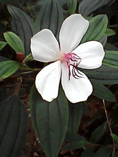 photo00007