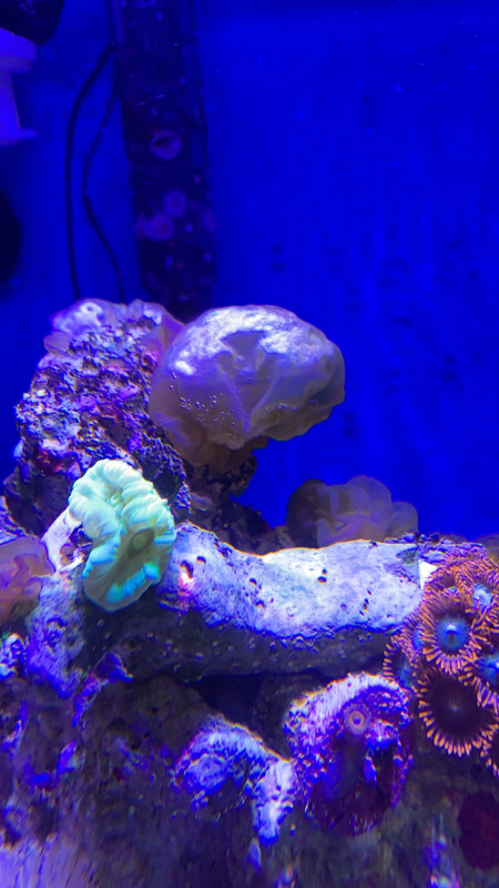 238698BE-7FE7-464D-A0C9-1219048DF12F