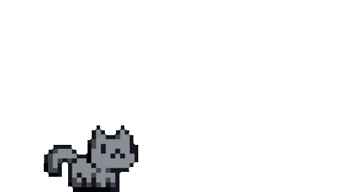 cat not found