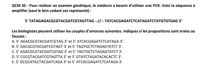 Capture d’écran 2024-12-01 181138