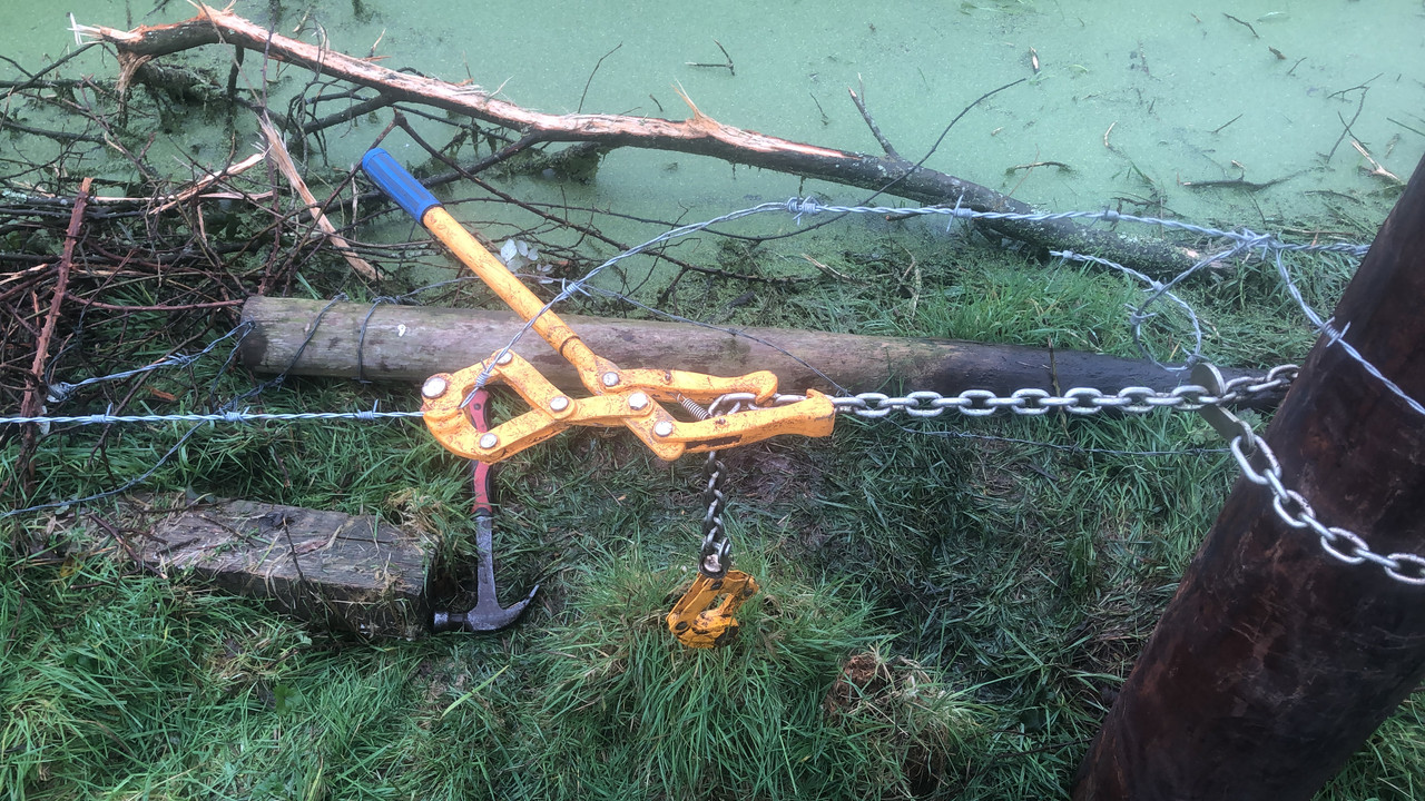 92320E8E-8767-413B-BCD3-6742D07F2C69