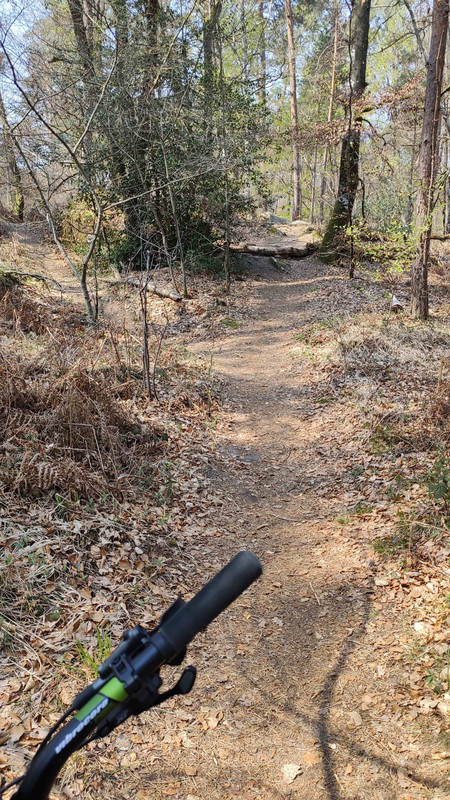 IMG_20210422_131017_compress17