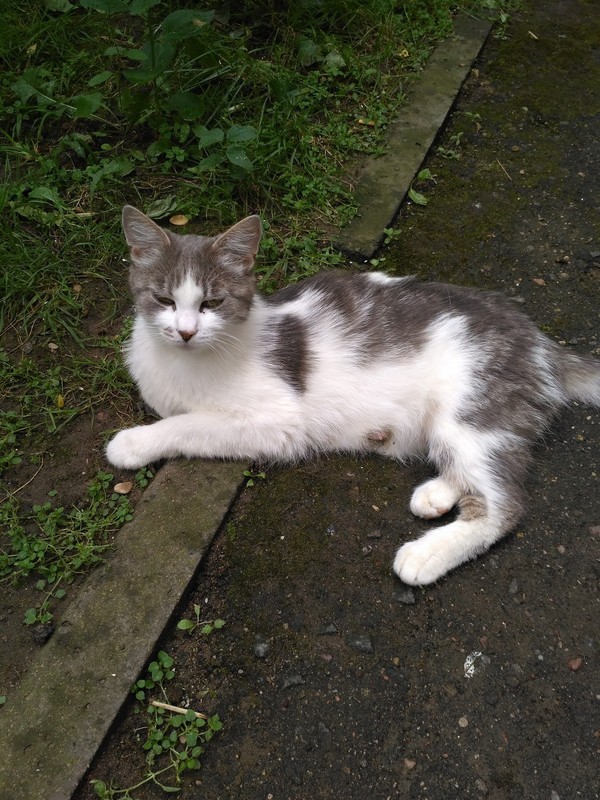 IMG_20190707_1255171