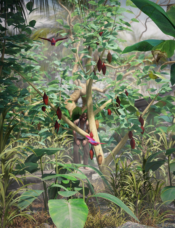 Tropical Plants - Edible Exotics Tropical Plants - Edible Exotics