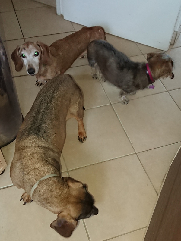 [Image: DSC-3589.jpg]