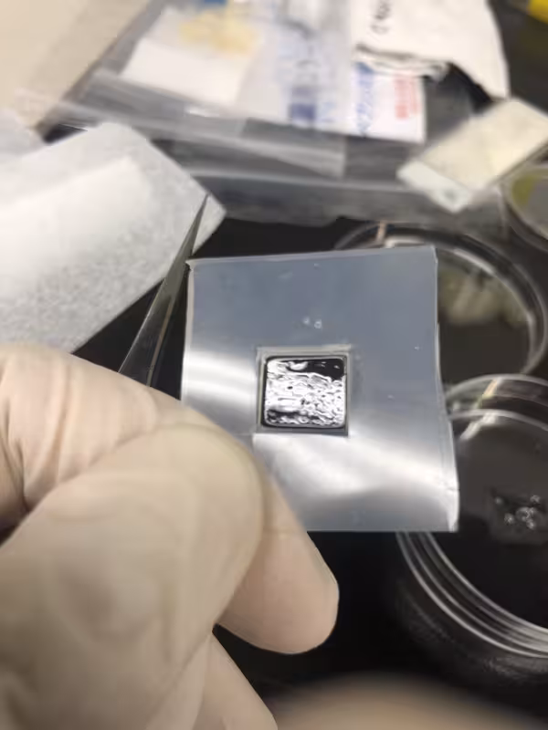 Industrial Organic Chemistry Nanoscale fibers colagen-1 sponge (Image 3)