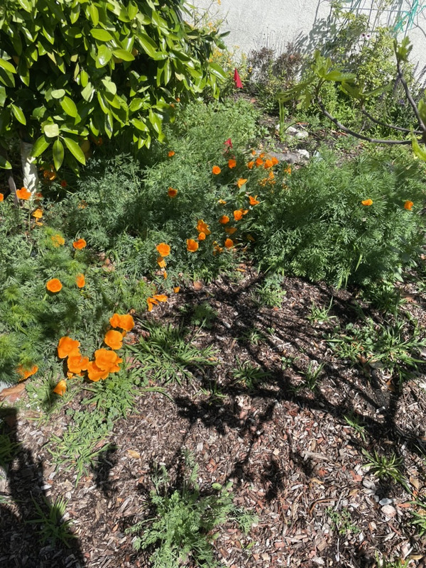 ECD95902-5164-4D19-8FA5-54ACA5B34BA8_1_105_c