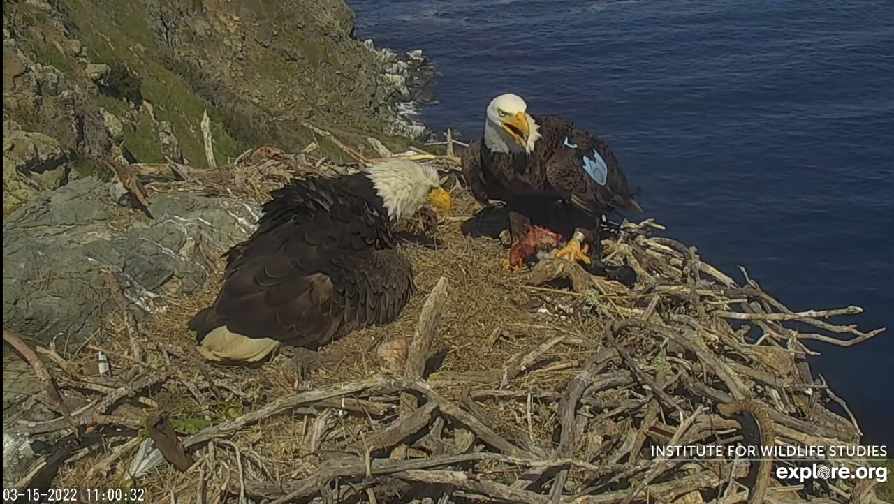 037988FA-F529-419A-94D5-BC6B6B841790