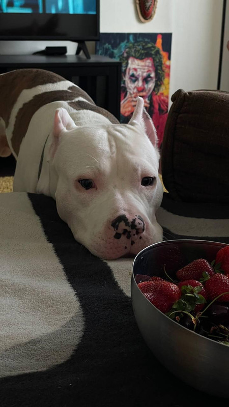 DAA7B4B0-E6A9-4D92-9D9F-31D15A1E6F0B