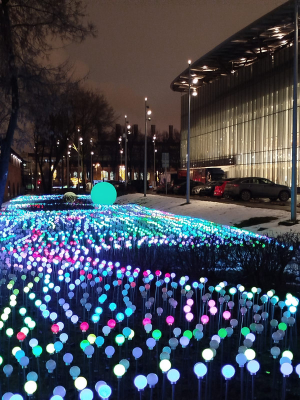 новогоднее с айфона январь 2025 018