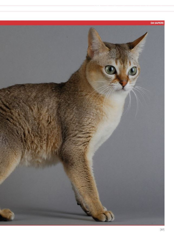 Ga Ma Ago-Set 2024 (6)