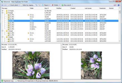 Detwinner 2.03.010 Multilingual