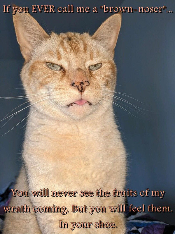 a-brown-noser-you-will-never-see-the-fruits-of-my-wrath-coming-but-you-will-feel-them-in-your-shoe