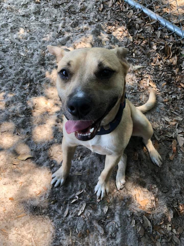 61236625_10218785712979217_124993160450408448_n