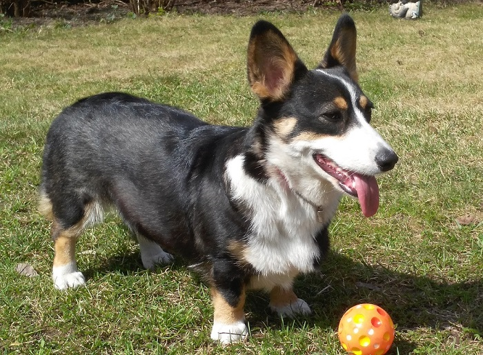 IMG_20160420_115132(1)