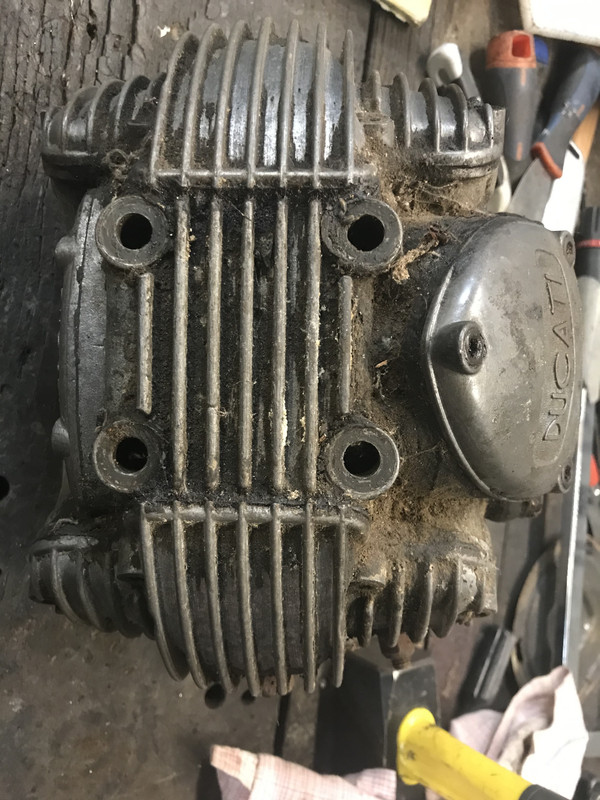 88C02DE1-DC59-4CC3-82C8-3212EDD56AD6