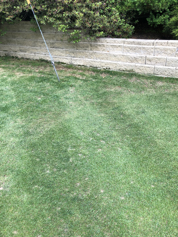 0C10F6F9-EAFE-405D-B817-3AC558D8F973