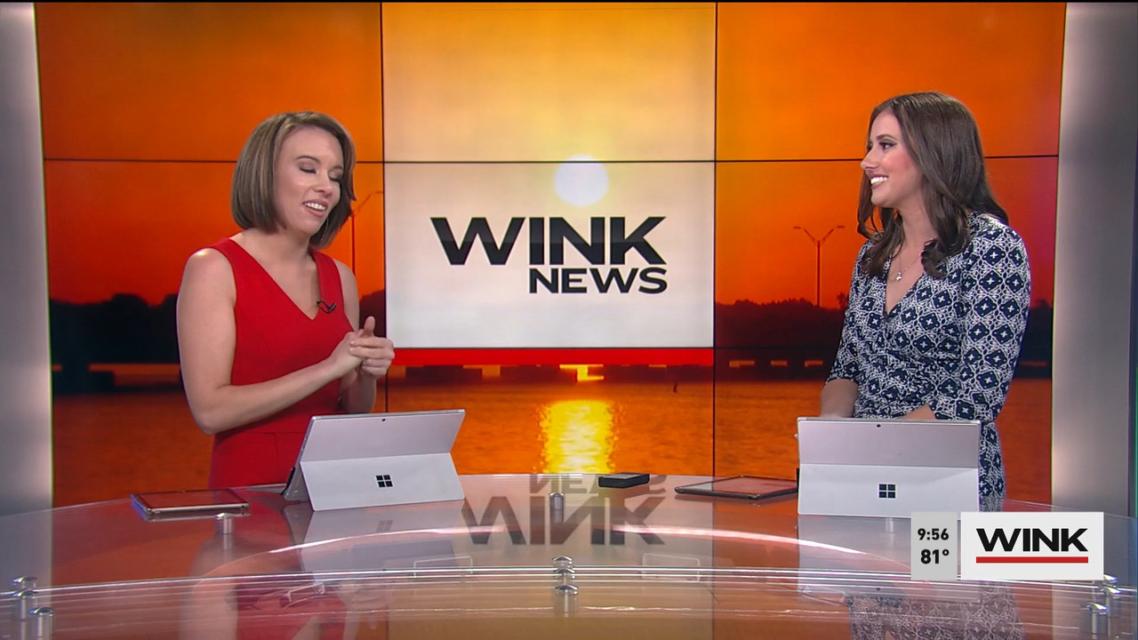 09.04 - 14.00.00 - WINK News @ 9 00AM. Local news, sports and weather.ts_snapshot_51.29.622