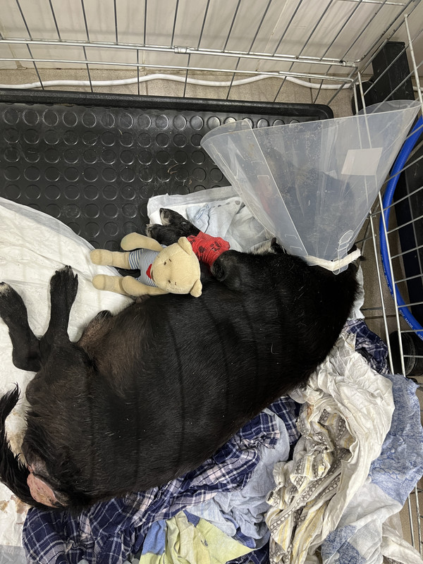 52BA3892-AEB8-4712-A1DF-76D81ED30590