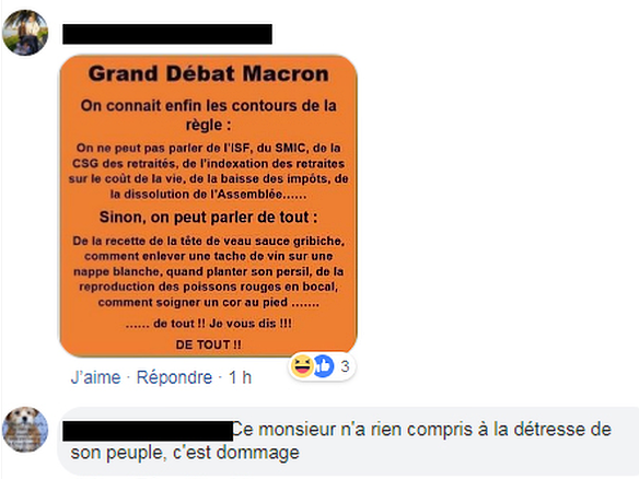 Gilets jaunes - Page 11 GDM