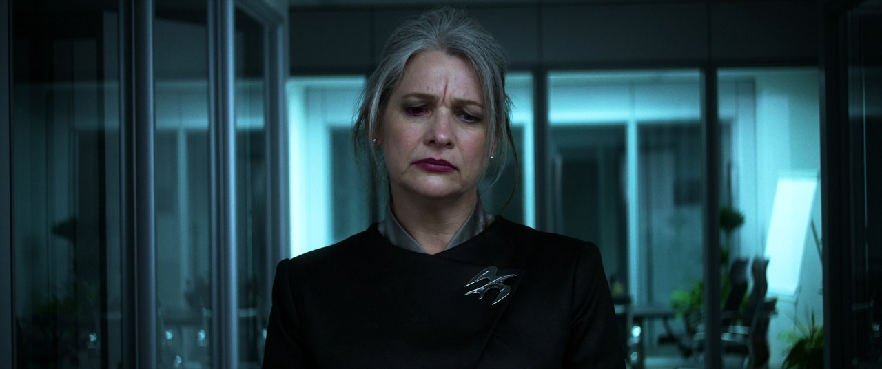 Mayhem 2017 (1080p x265 10bit Tigole).mkv_snapshot_01.15.04_[201