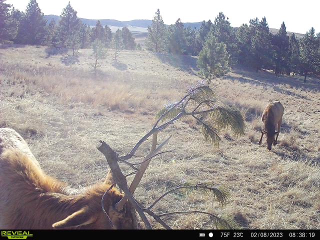 71-C5-CA41-3726-4-EF0-A1-E1-1292-CDBC202