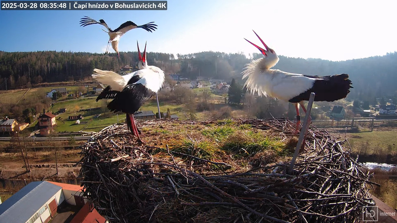 Živě z čapího komína firmy KARA v Bohuslavicích u Trutnova 9-7-36 screenshot (1)