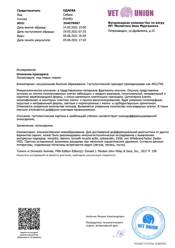 INVITRO_биопсия