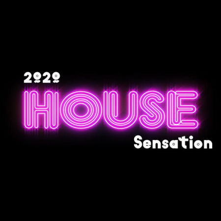 Various Artists - 2020 House Sensation (2020) mp3, flac