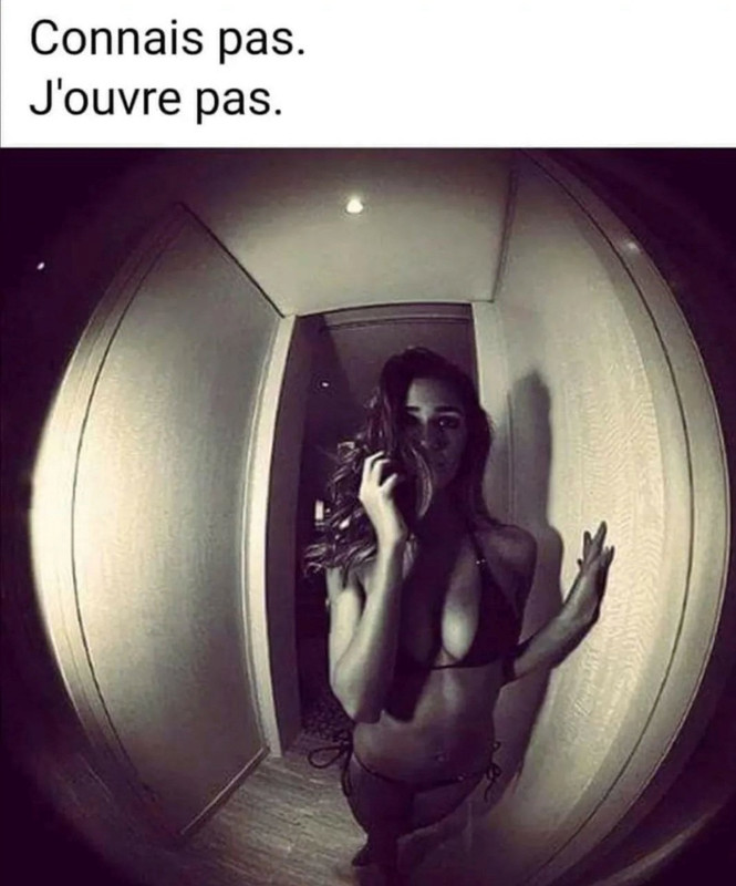 30817210.jpg